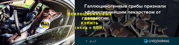 сатива Медвежьегорск