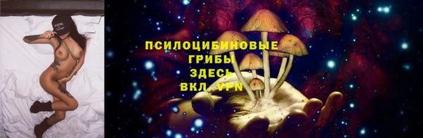 сатива Медвежьегорск