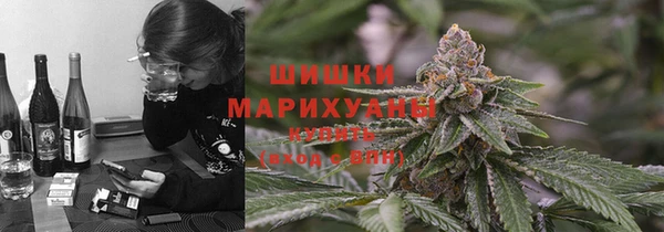 сатива Медвежьегорск