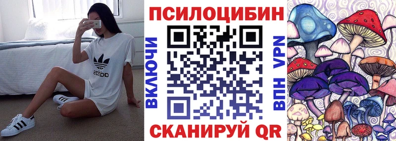 где можно купить наркотик  MEGA онион  Псилоцибиновые грибы Cubensis  Ливны 