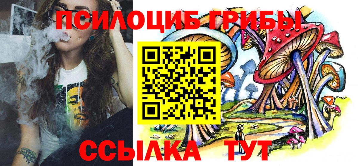 продажа наркотиков  Вход с VPN  Ливны  Псилоцибиновые грибы прущие грибы  Псилоцибиновые грибы Psilocybe 