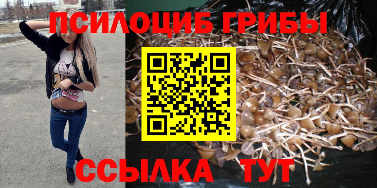 Псилоцибиновые грибы Cubensis Ливны