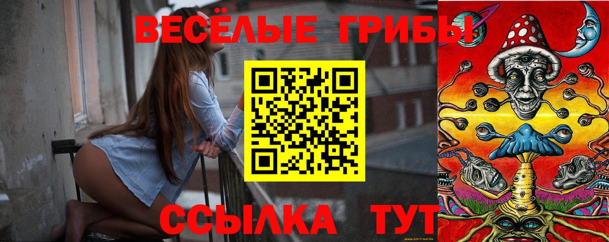 ГАШ  ГАШ  Где купить наркотики?  Героин  Меф МЯУ МЯУ   Ливны  МАРИХУАНА 